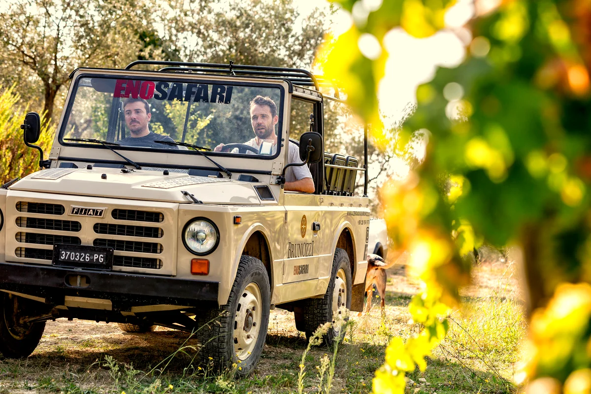 La jeep d'epoca dell'Enosafari Brunozzi in mezzo ai filari di Sagrantino